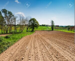 Terrenos whatsapp image 2025 12 10 at 10.53.27